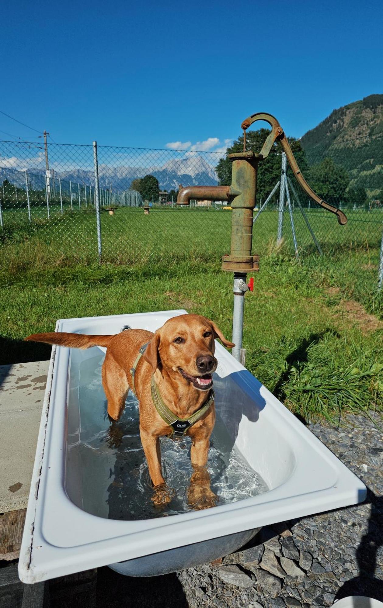 Chaletdorf Zellersee Maishofen Extérieur photo