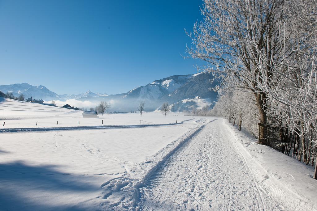 Chaletdorf Zellersee Maishofen Extérieur photo